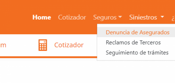 Siniestros Online de Nivel Seguros