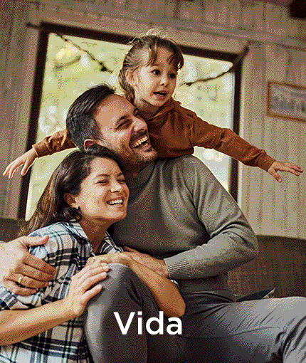 Cotizador Online de Nivel Seguros en Salta, Argentina